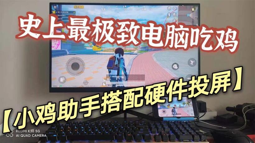 和平精英飞鸟一体直装(人物绘制/驱动自瞄/独家美化/掩体变色)